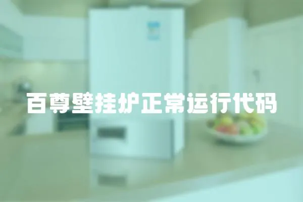 百尊壁掛爐正常運行代碼