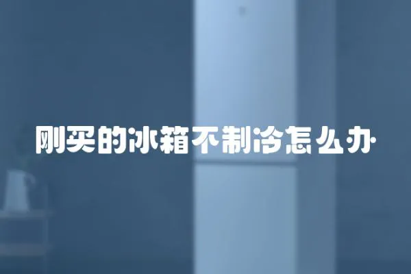 剛買的冰箱不制冷怎么辦