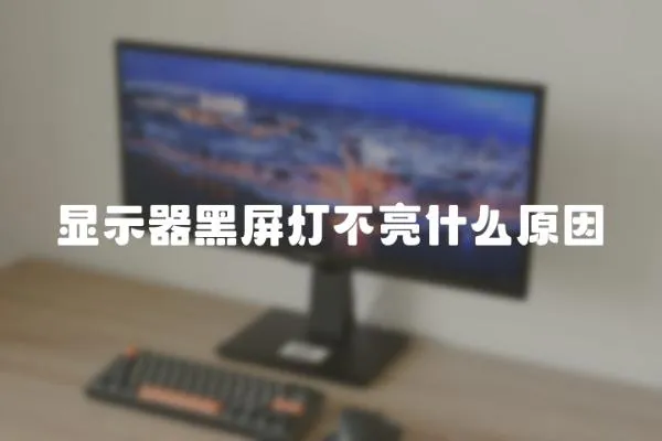 顯示器黑屏燈不亮什么原因
