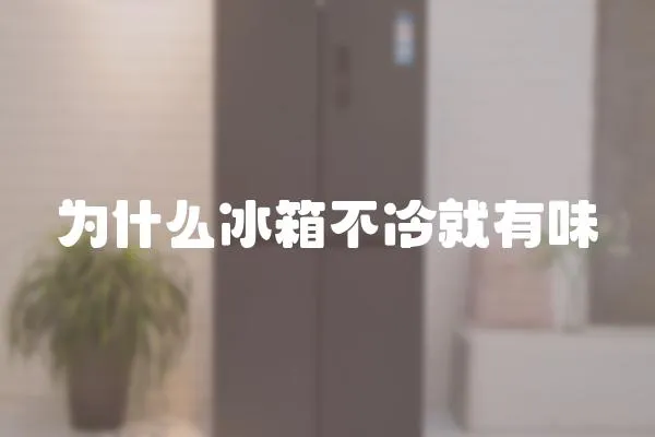 為什么冰箱不冷就有味