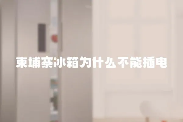 柬埔寨冰箱為什么不能插電