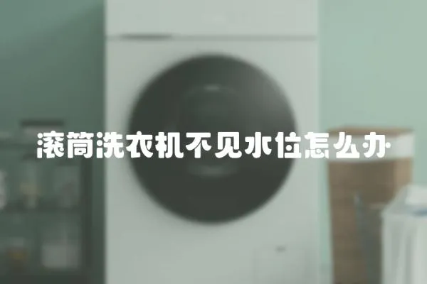 滾筒洗衣機(jī)不見水位怎么辦