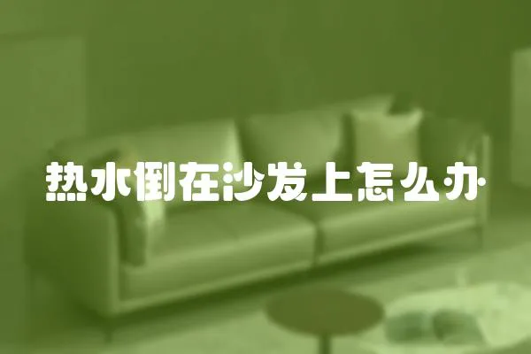 熱水倒在沙發(fā)上怎么辦