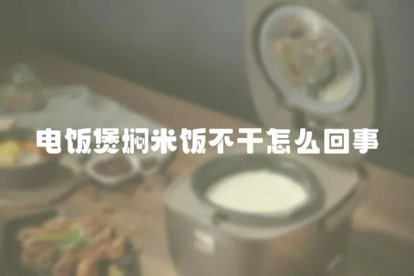 電飯煲燜米飯不干怎么回事