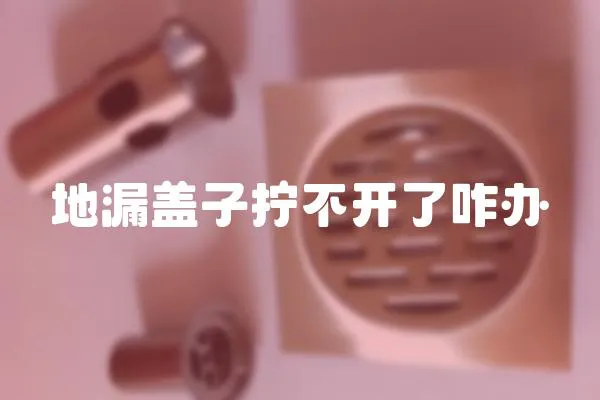 地漏蓋子擰不開了咋辦