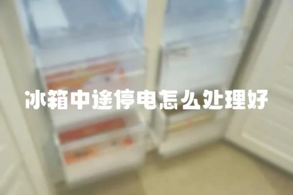 冰箱中途停電怎么處理好