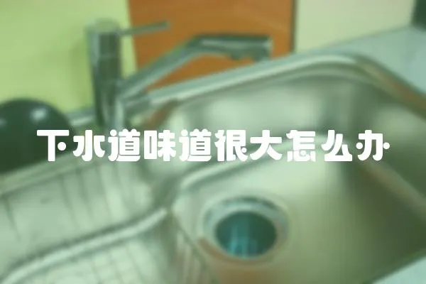 下水道味道很大怎么辦