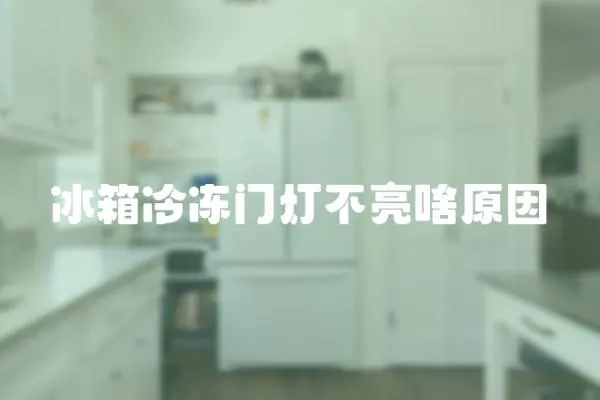 冰箱冷凍門燈不亮啥原因