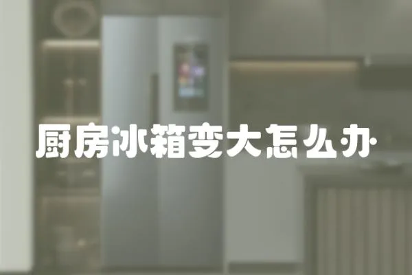 廚房冰箱變大怎么辦
