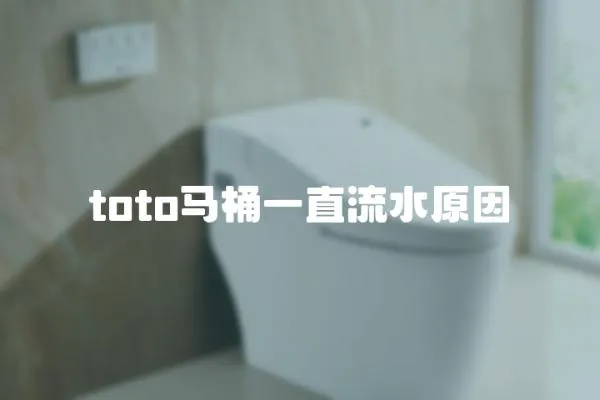 toto馬桶一直流水原因