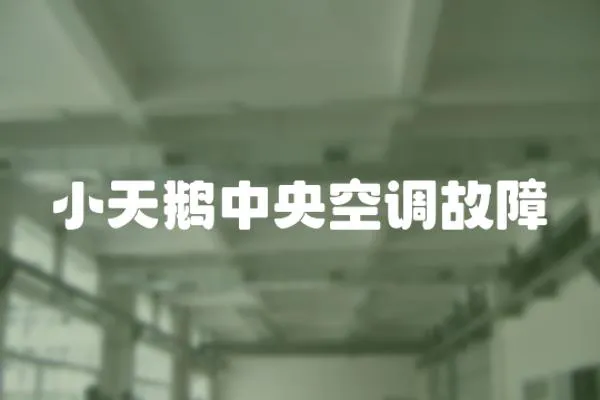小天鵝中央空調故障