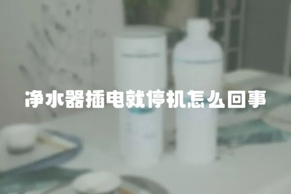 凈水器插電就停機怎么回事