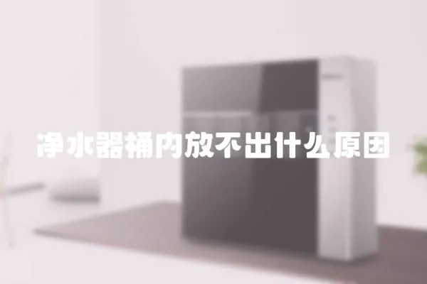 凈水器桶內放不出什么原因