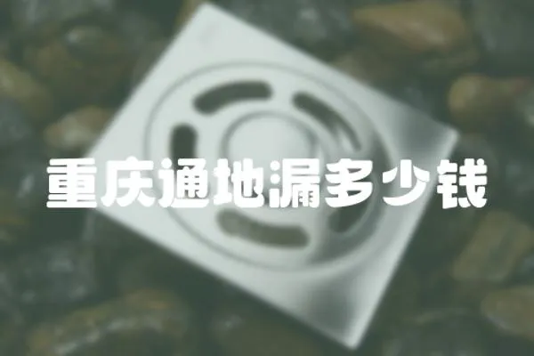重慶通地漏多少錢