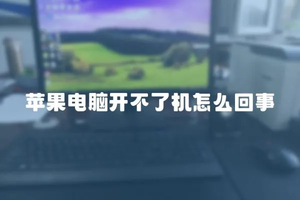 蘋果電腦開不了機怎么回事