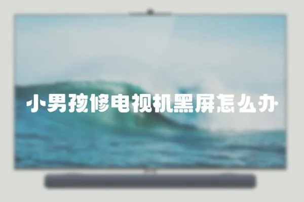 小男孩修電視機黑屏怎么辦