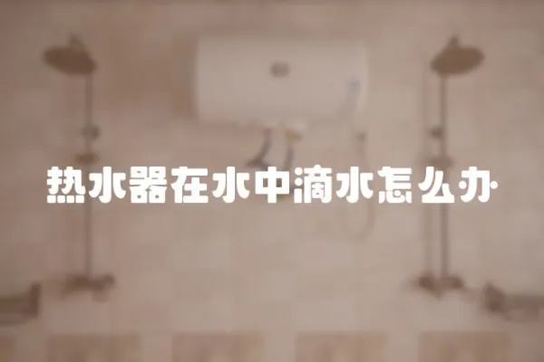 熱水器在水中滴水怎么辦