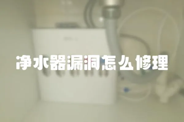 凈水器漏洞怎么修理