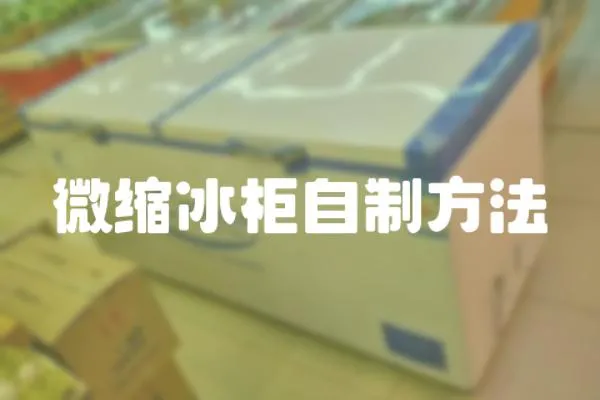 微縮冰柜自制方法