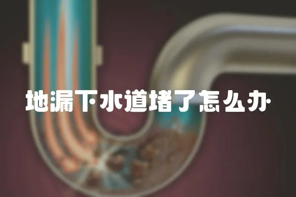 地漏下水道堵了怎么辦