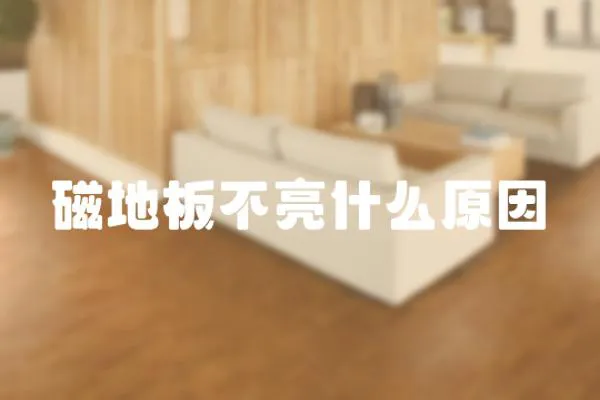 磁地板不亮什么原因
