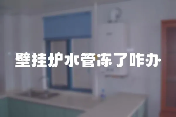 壁掛爐水管凍了咋辦