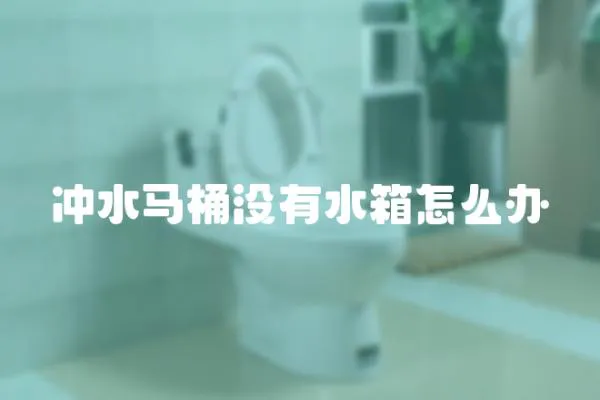 沖水馬桶沒有水箱怎么辦