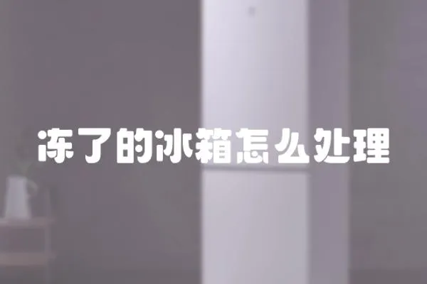 凍了的冰箱怎么處理
