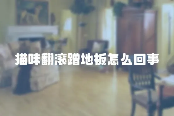 貓咪翻滾蹭地板怎么回事