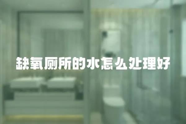 缺氧廁所的水怎么處理好