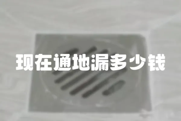 現在通地漏多少錢