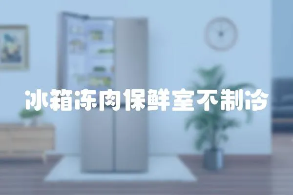 冰箱凍肉保鮮室不制冷