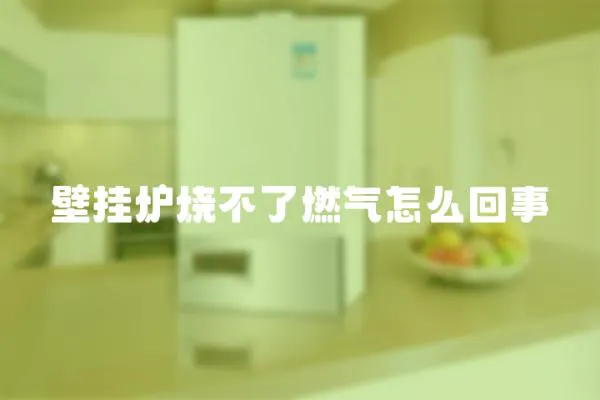 壁掛爐燒不了燃氣怎么回事