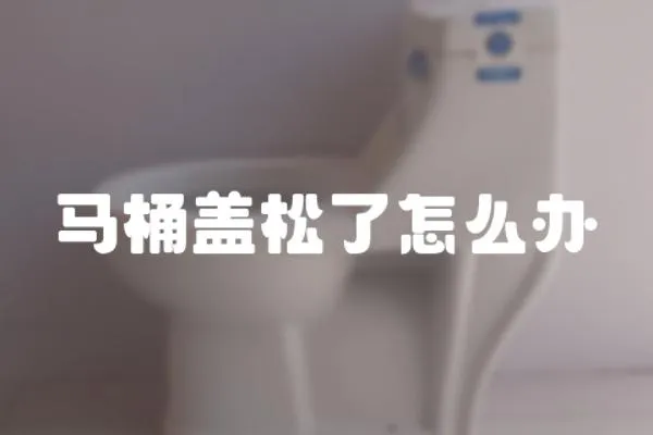 馬桶蓋松了怎么辦