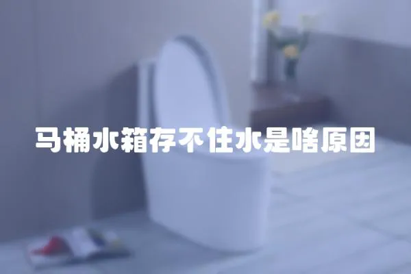 马桶水箱存不住水是啥原因