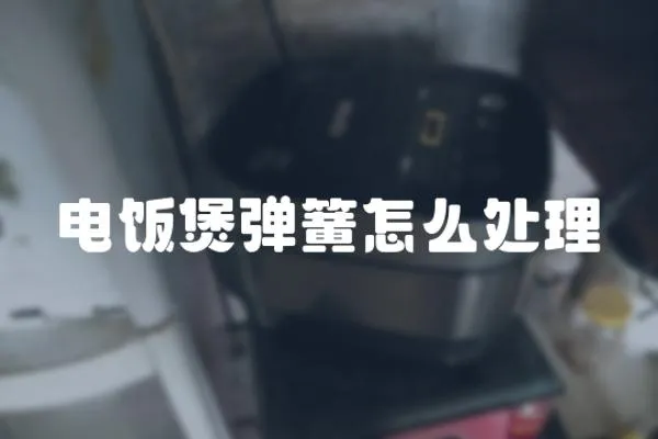 電飯煲彈簧怎么處理