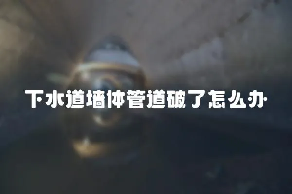 下水道墻體管道破了怎么辦