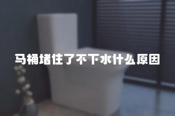 馬桶堵住了不下水什么原因