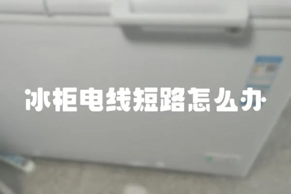 冰柜電線短路怎么辦
