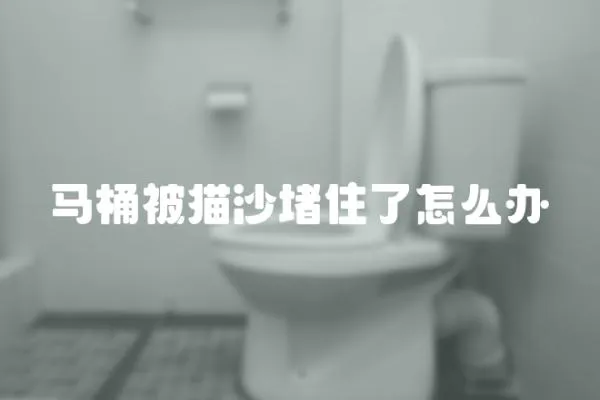 馬桶被貓沙堵住了怎么辦