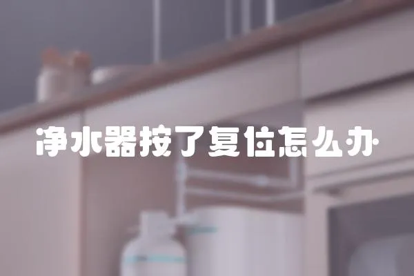 凈水器按了復位怎么辦