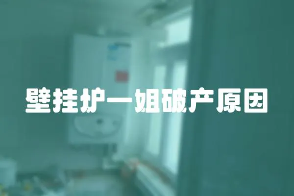 壁掛爐一姐破產原因