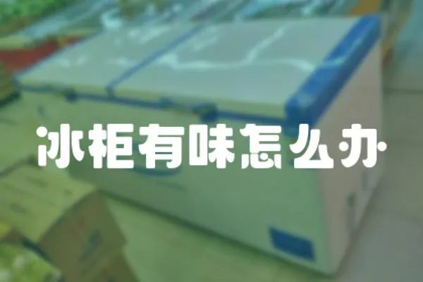 冰柜有味怎么辦