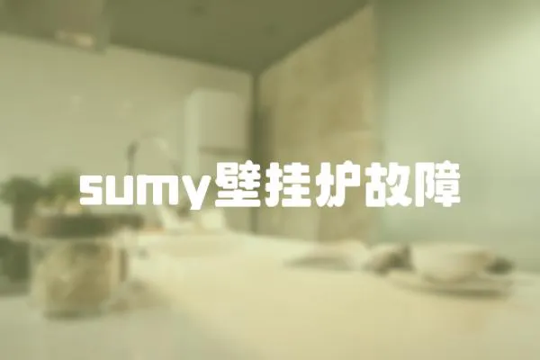 sumy壁挂炉故障