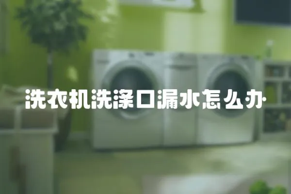 洗衣機洗滌口漏水怎么辦