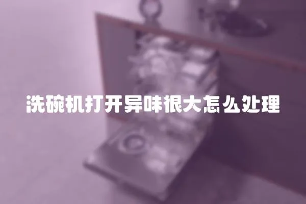洗碗機打開異味很大怎么處理