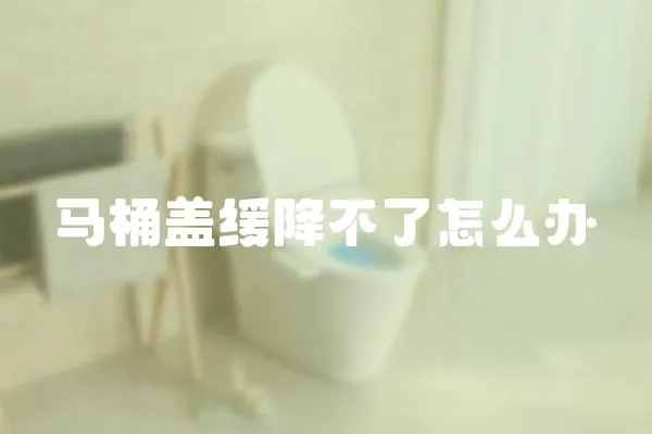 馬桶蓋緩降不了怎么辦