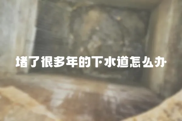 堵了很多年的下水道怎么辦