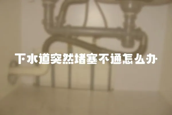 下水道突然堵塞不通怎么辦