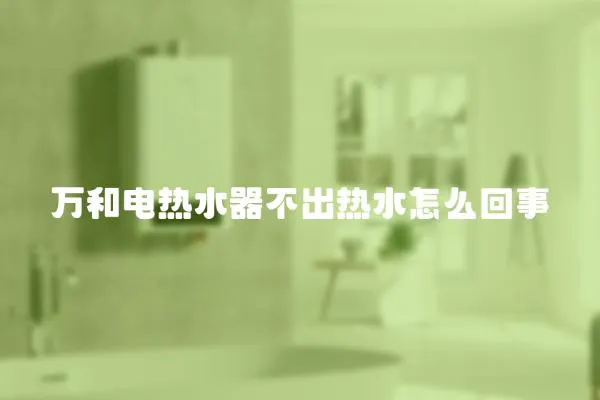 萬(wàn)和電熱水器不出熱水怎么回事